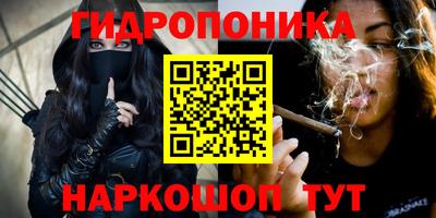 гашик Краснознаменск