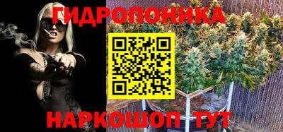 ECSTASY Краснодар