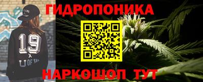 гашик Краснознаменск