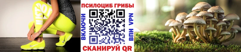 Псилоцибиновые грибы мицелий  mega зеркало  Туймазы 